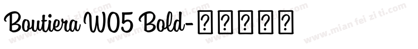 Boutiera W05 Bold字体转换